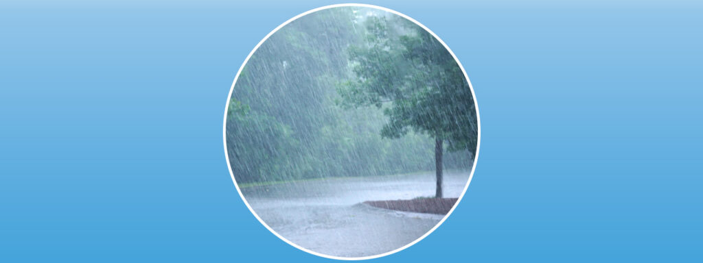 ¿Para qué sí y para qué no usar el agua de lluvia?