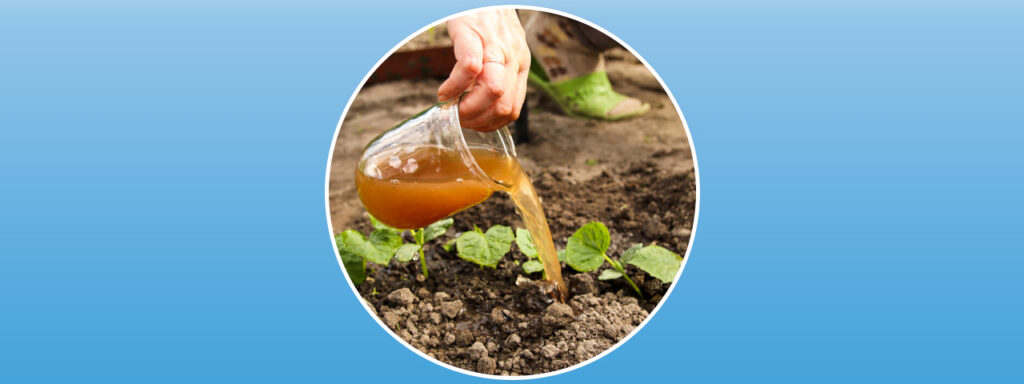 Uso de tanques Rotoplas para almacenamiento de fertilizantes líquidos